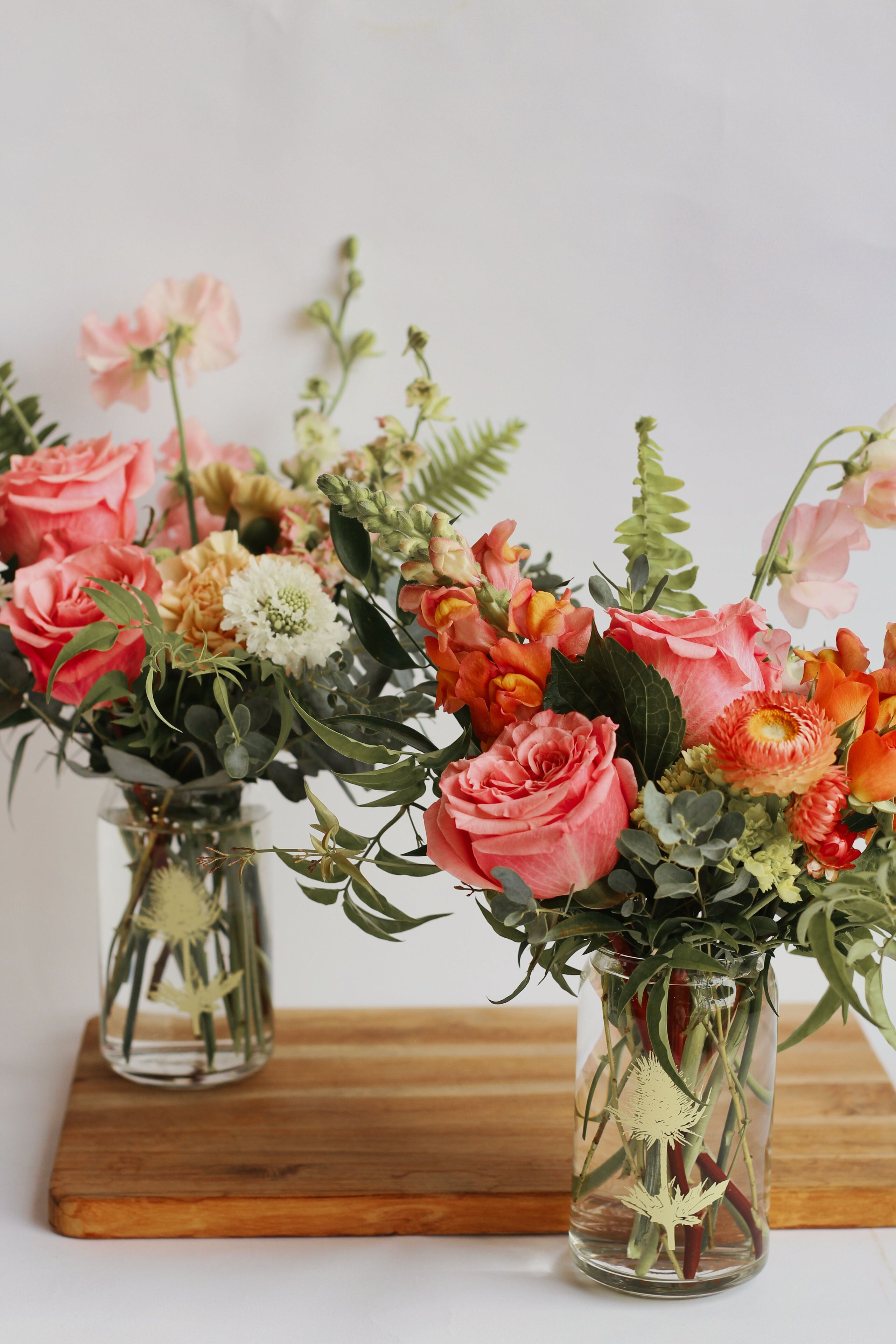 Thistle Tucson, AZ Thistle Tucson